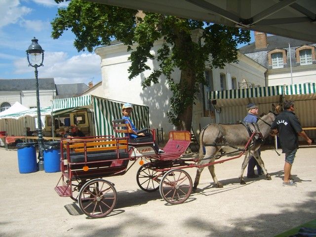 fete 2016 (48).jpg